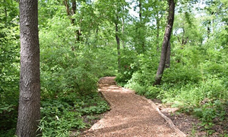 Hallett Nature Sanctuary - New York, NY