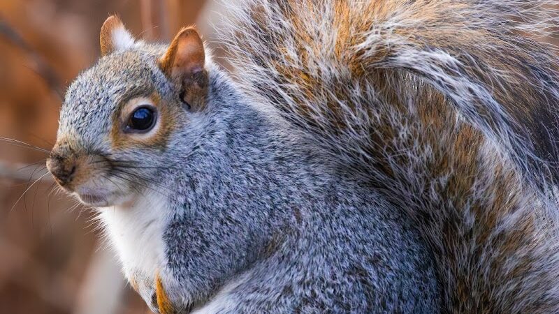 Hallett Nature Sanctuary - New York, NY