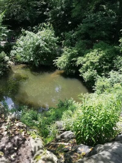 Hallett Nature Sanctuary - New York, NY