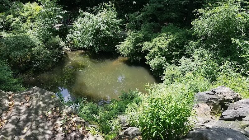 Hallett Nature Sanctuary - New York, NY