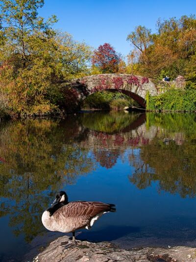Hallett Nature Sanctuary - New York, NY