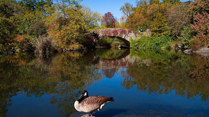 Hallett Nature Sanctuary - New York, NY