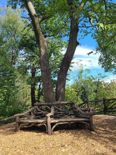 Hallett Nature Sanctuary - New York, NY