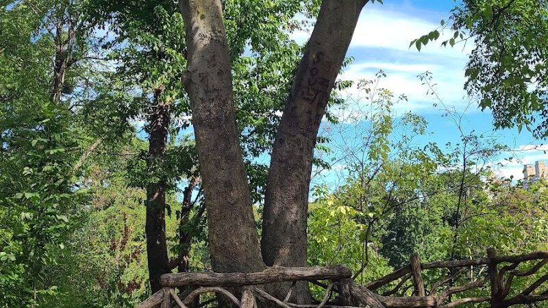 Hallett Nature Sanctuary - New York, NY