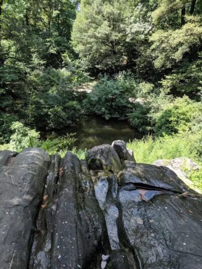 Hallett Nature Sanctuary - New York, NY