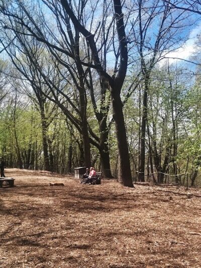 Rocky's Dog Run - New York, NY