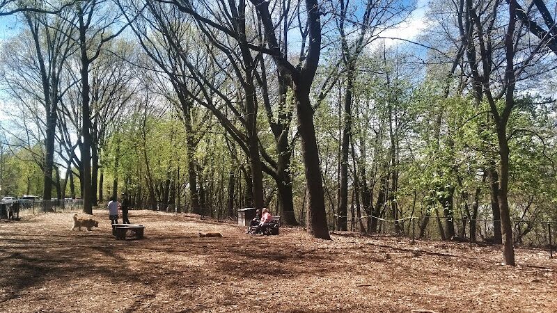Rocky's Dog Run - New York, NY