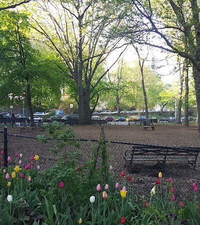 Rocky's Dog Run - New York, NY