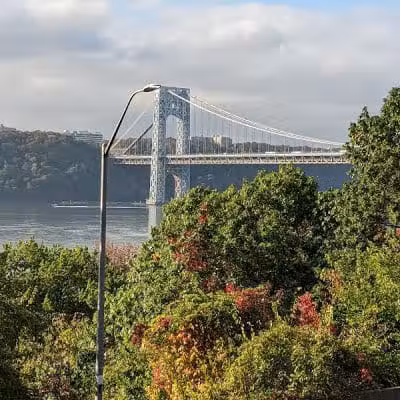 Rocky's Dog Run - New York, NY