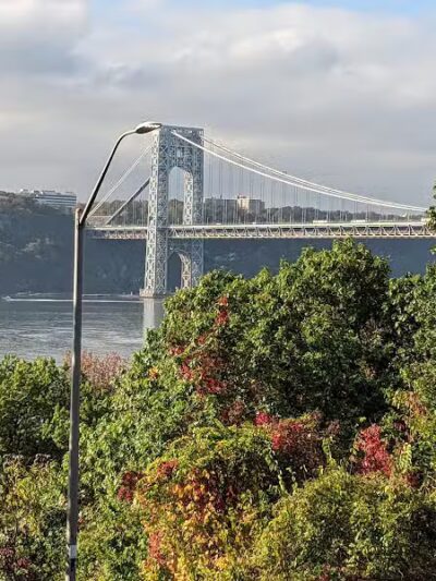 Rocky's Dog Run - New York, NY