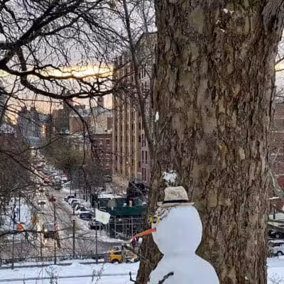 St. Nicholas Park - New York, NY