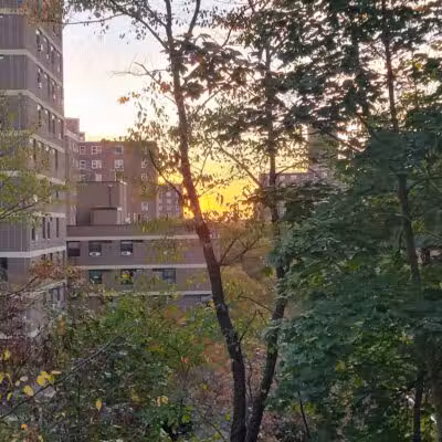 St. Nicholas Park - New York, NY