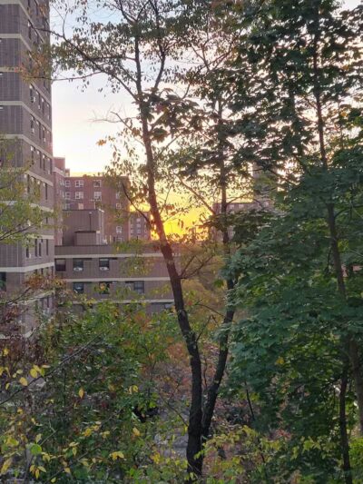 St. Nicholas Park - New York, NY