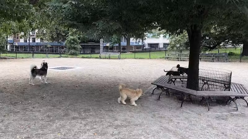 West 72nd Street Dog Run - New York, NY