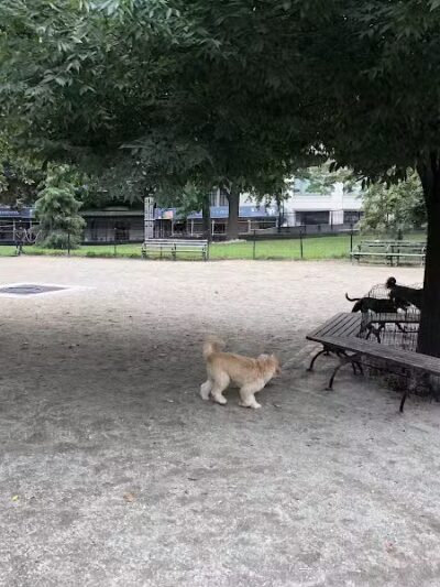 West 72nd Street Dog Run - New York, NY