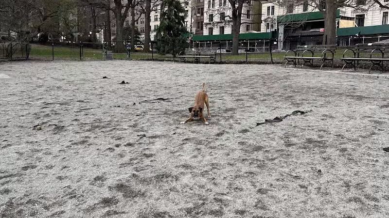 West 72nd Street Dog Run - New York, NY