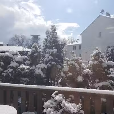 Hennesey Street Park - Newark, NJ