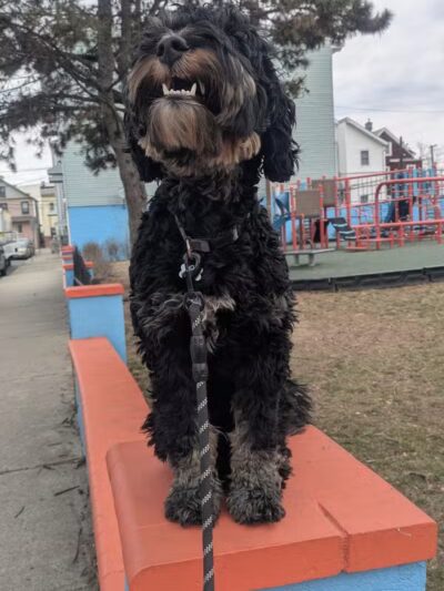 Hennesey Street Park - Newark, NJ