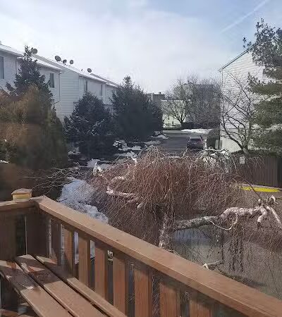 Hennesey Street Park - Newark, NJ