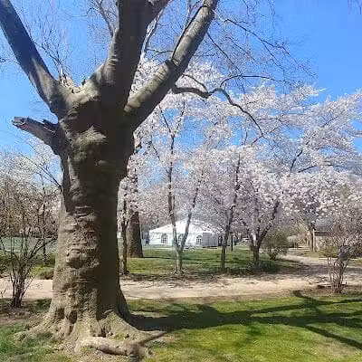 Independence Park - Newark, NJ