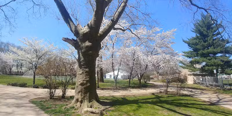 Independence Park - Newark, NJ