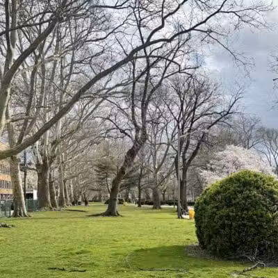 Independence Park - Newark, NJ