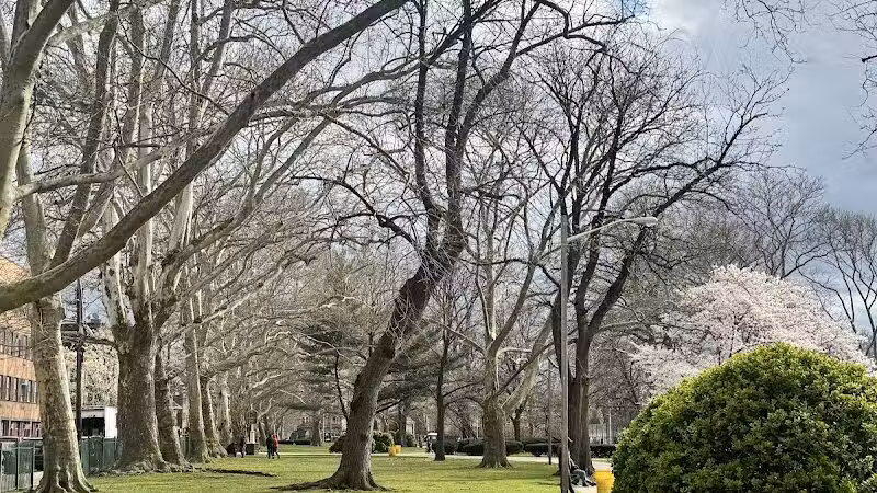 Independence Park - Newark, NJ