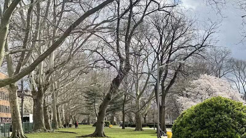 Independence Park - Newark, NJ