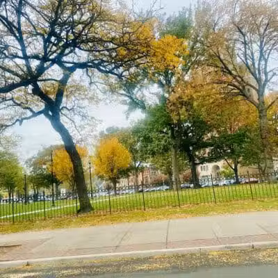 Lincoln Park - Newark, NJ