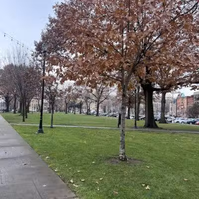 Lincoln Park - Newark, NJ