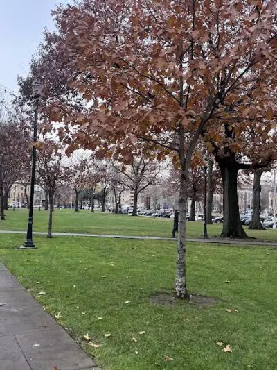 Lincoln Park - Newark, NJ