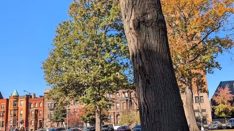 Lincoln Park - Newark, NJ
