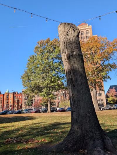 Lincoln Park - Newark, NJ