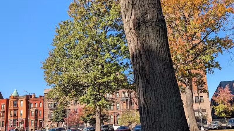 Lincoln Park - Newark, NJ