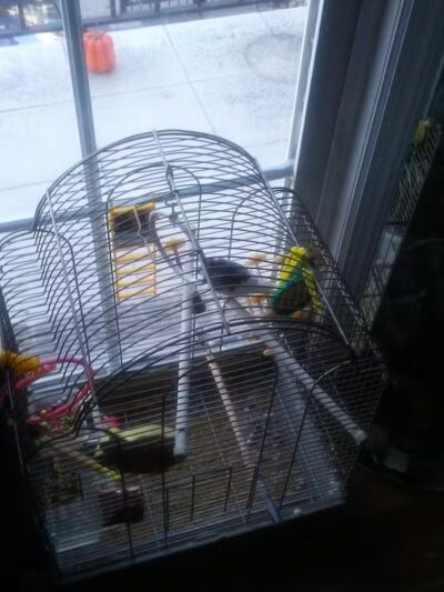 Mildred Helms Park - Newark, NJ