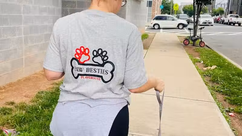 Paw Besties Playground - Newark, NJ