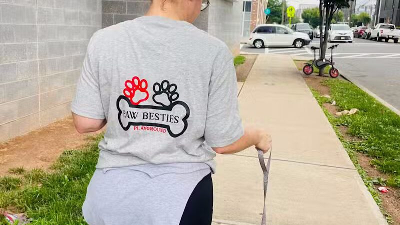 Paw Besties Playground - Newark, NJ