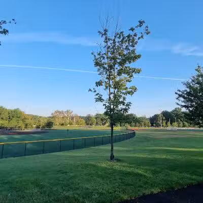 Weequahic Lake Trail - Newark, NJ