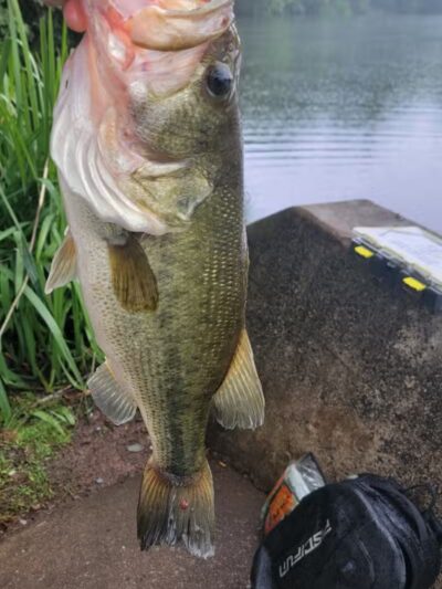 Weequahic Lake Trail - Newark, NJ