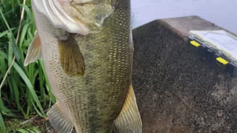 Weequahic Lake Trail - Newark, NJ