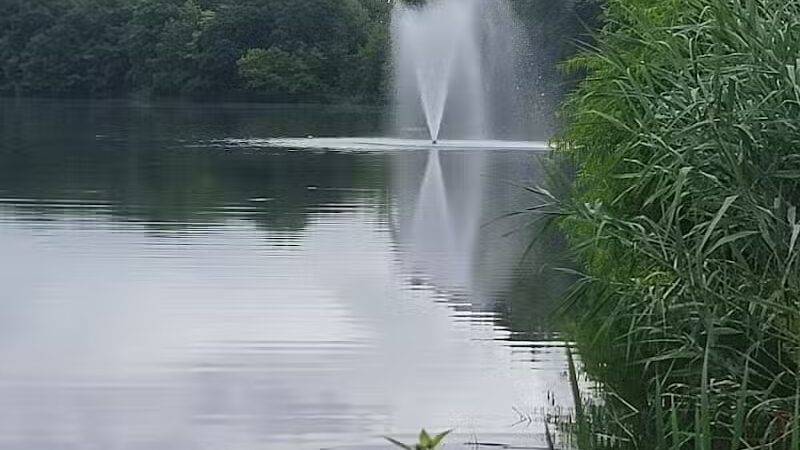 Weequahic Lake Trail - Newark, NJ