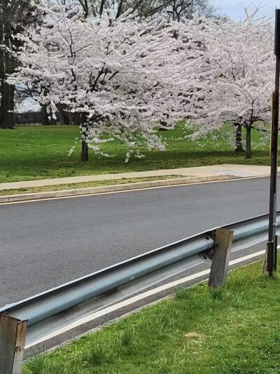 Weequahic Lake Trail - Newark, NJ