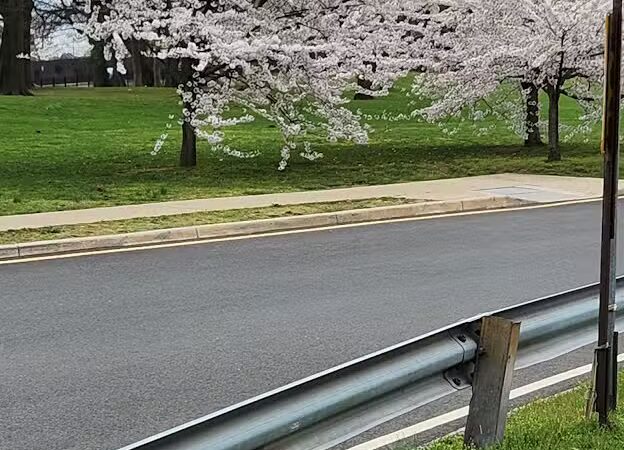 Weequahic Lake Trail - Newark, NJ