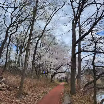 Weequahic Lake Trail - Newark, NJ