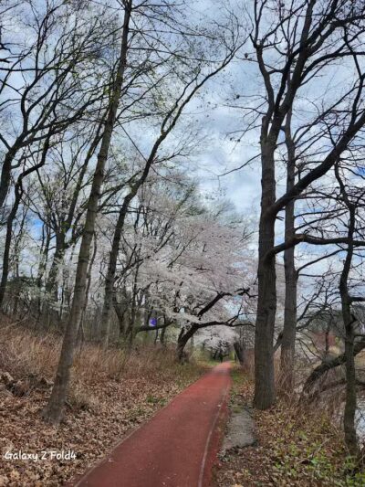 Weequahic Lake Trail - Newark, NJ