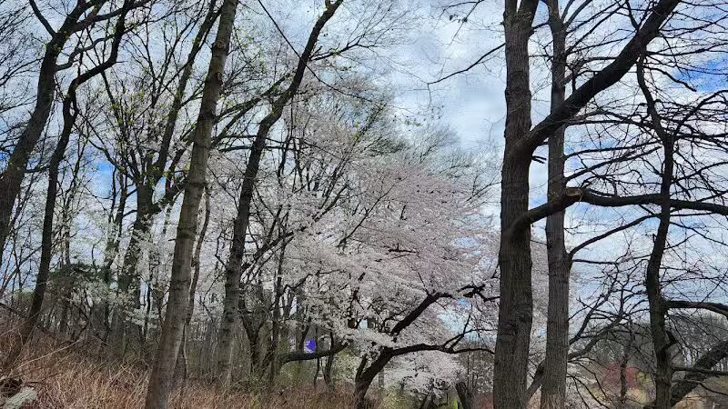 Weequahic Lake Trail - Newark, NJ
