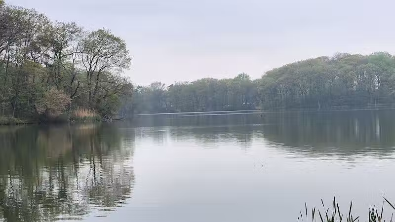 Weequahic Lake Trail - Newark, NJ