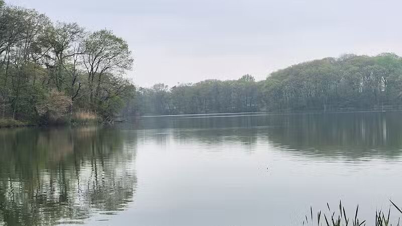 Weequahic Lake Trail - Newark, NJ