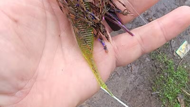 Weequahic Lake Trail - Newark, NJ