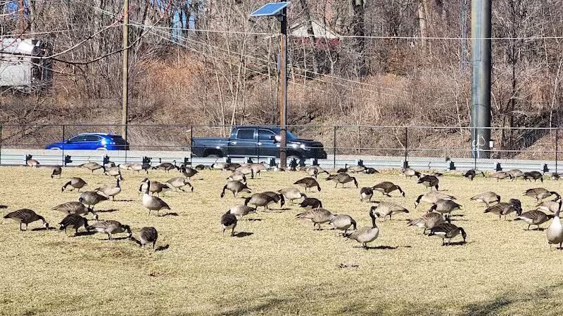 Weequahic Lake Trail - Newark, NJ
